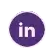 LinkedIn Custom Icon